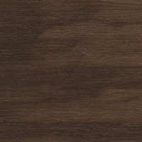 Water Street Black Mamba