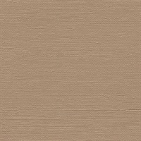 Water Street Chocolate