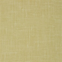 Watercolor Canvas Lime Twist