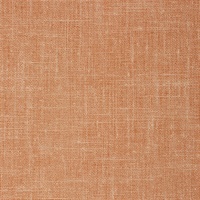 Watercolor Canvas Salmon