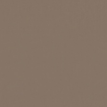 Weather Resistance Metallic 12