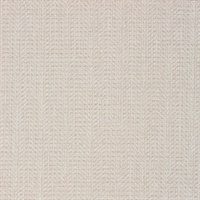 Well Suited Cosmopolitan