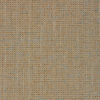 Well Suited Nobleman