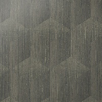 What the Hex Sable Segment Geometric