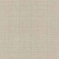 Whimsy Aviva Stanoff Milky Way Cream