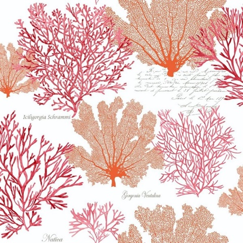 White, Pink & Orange Commercial Coral Reef Plants Wallcovering | Pink Coral  Reef Plants 54 " Wallcovering
