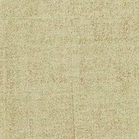 Wicked Lime-On Drops