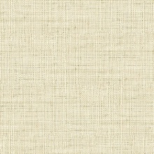 Wild Bind 54 Gold Chip