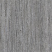 Winter Sky Beauty Sleep