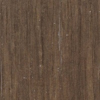 Winter Sky Cinnamon & Clove