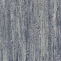 Winter Sky Deep In Thought