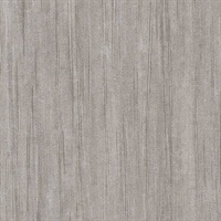 Winter Sky Harbor Seal