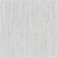 Winter Sky Morning Glory