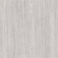 Winter Sky Paper Doll