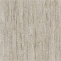 Winter Sky Seattle Sunrise