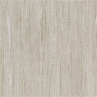 Winter Sky Top Shelf