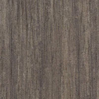 Winter Sky World View