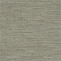 Wire Grain Great Plains