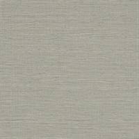 Wire Grain Young Wheat