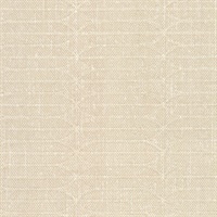 Without A Paddle Fresh Air