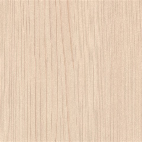 Woods American Cypress