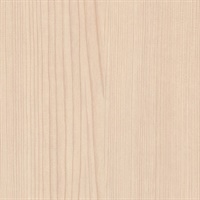 Woods American Cypress