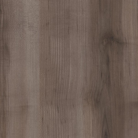 Woods American Sweetgum