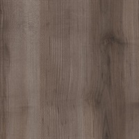 Woods American Sweetgum