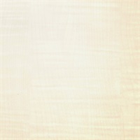 Woods Bleached Tiger Maple