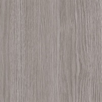 Woods Gray Elm