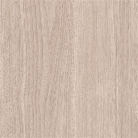 Woods Mountain Hemlock