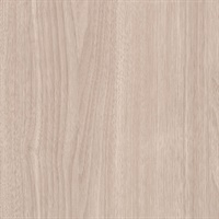 Woods Mountain Hemlock