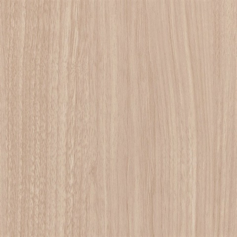 Woods Red Alder