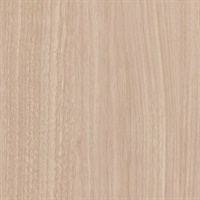 Woods Red Alder