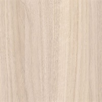 Woods Sanded White Ash