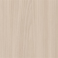 Woods White Elm