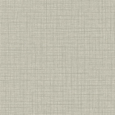 Woven Raffia 54 Light Pewter