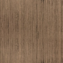 Zintra Timber Patterns Spotted Gum